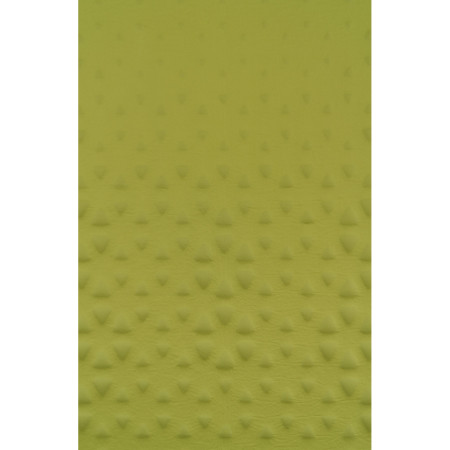 Matelas autogonflant Sea to Summit Camp Mat Self Inflating Mat R