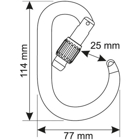 Mousqueton Camp Core Lock