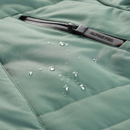 Veste femme Alpine Pro Werda