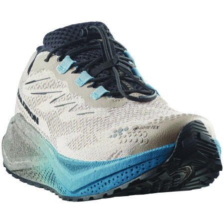 Chaussures homme Salomon Aero Blaze 4 Grvl Gtx