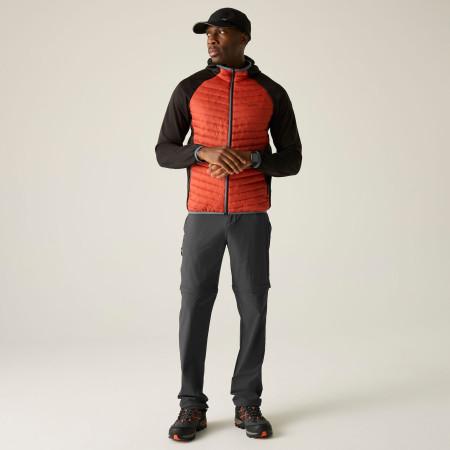 Pantalon homme Regatta Anti-Insect Travel Light Z/O Trousers