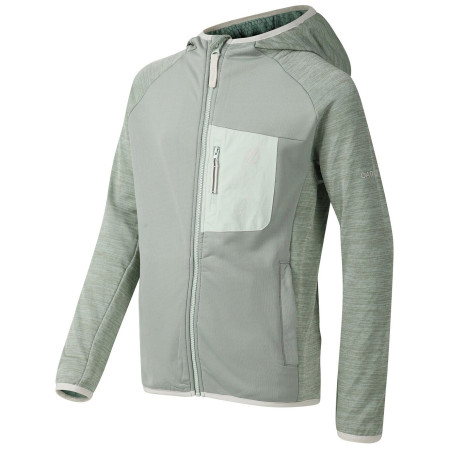 Veste enfant Dare 2b Expedition Midlayer GlacierGreen
