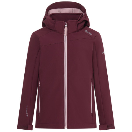 Veste softshell enfant Regatta Haydenbury Fig violet Fig Powder Lilac