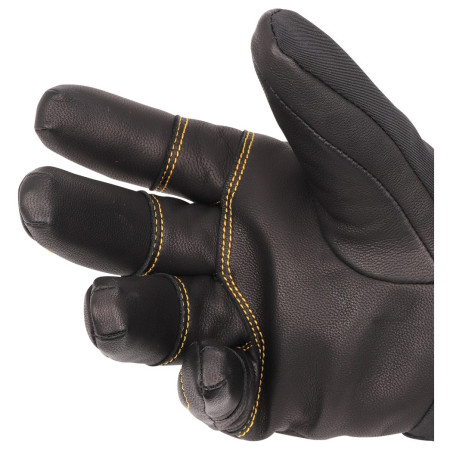 Gants Camp Geko Guide
