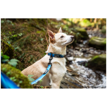 Collier pour chien Mountain Paws Waterproof Dog Collar