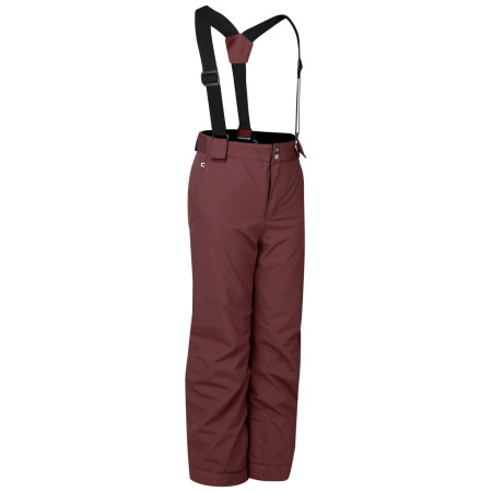 Pantalon d'hiver enfant Dare 2b Outmove III Insulated Pant Huckleberry