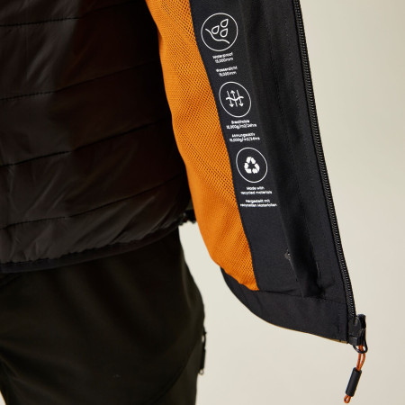 Veste homme Regatta Wentwood