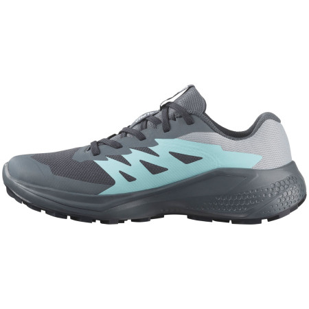 Chaussures femme Salomon Alphaglide Gore-Tex