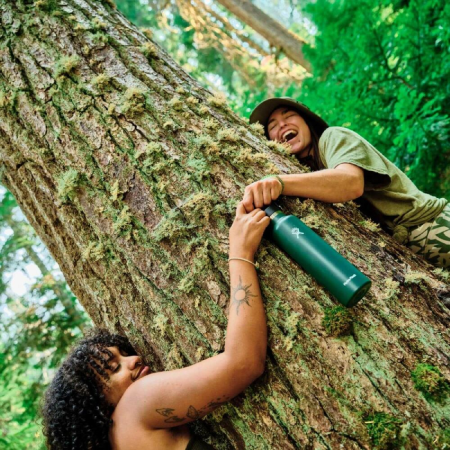 Bouteille isotherme Hydro Flask Standard Flex Cap 24 oz