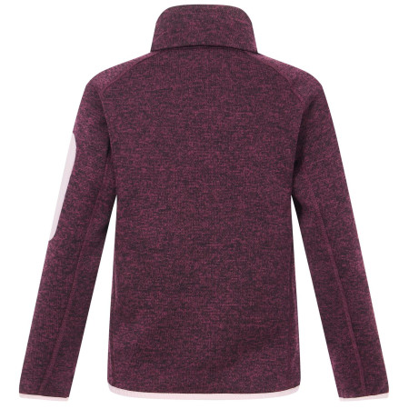 Sweatshirt enfant Regatta Junior Newhill Fig Powder Lilac