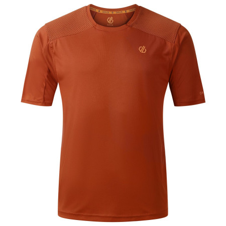 T-shirt fonctionnel homme Dare 2b Trackstand Ace brun ArabianSpice