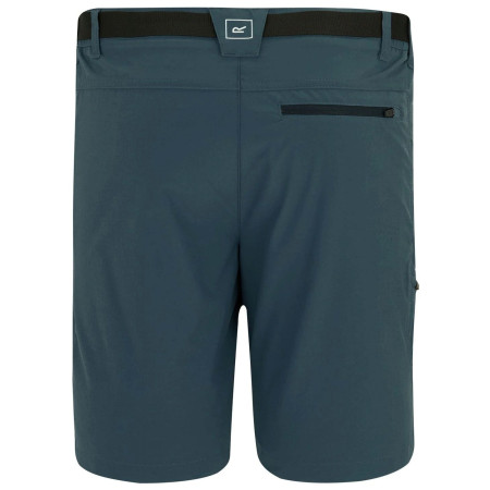 Shorts homme Regatta Xert Stretch Shorts