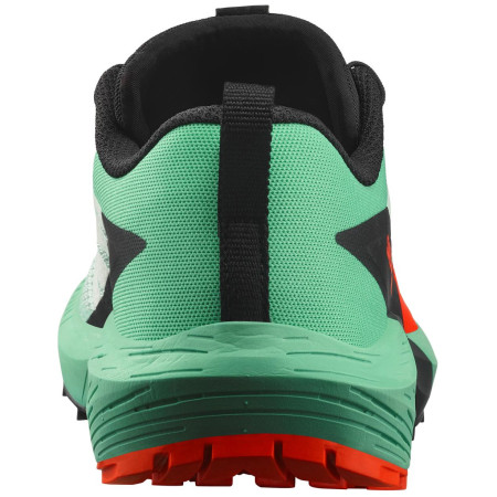 Chaussures running femme Salomon Sense Ride 5