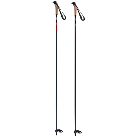 Bâton Swix Elite Tradition vert Black