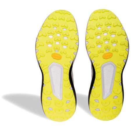 Chaussures de running hommes Dynafit Trail