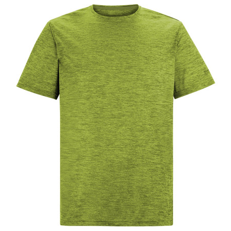T-shirt homme Regatta Fingal Edition