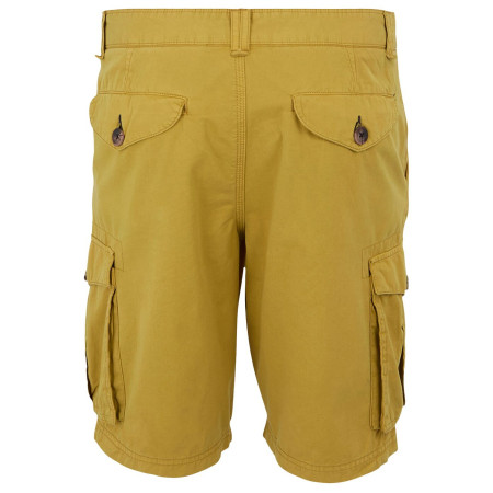 Shorts homme Regatta Shorebay Shorts II