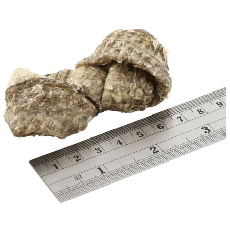 Friandises pour chiens Fish4Dogs Dental Sea Jerky Fish Knots 100g