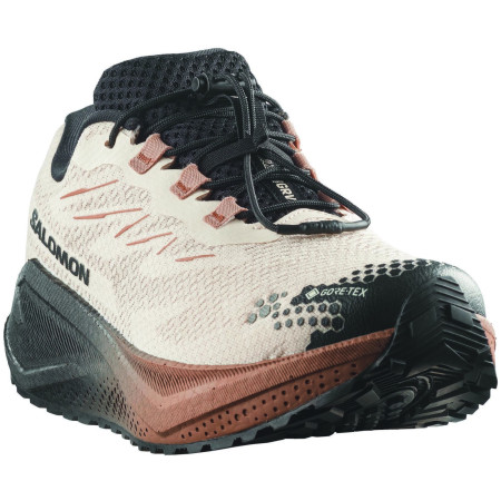 Chaussures homme Salomon Aero Blaze 4 Grvl Gtx