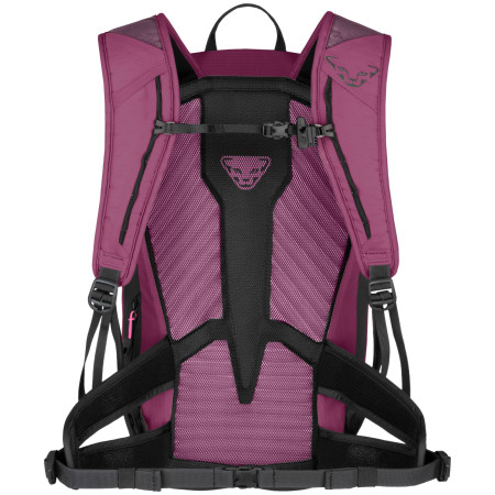 Sac à dos femme randonnée Dynafit Transalper 22 Backpack W