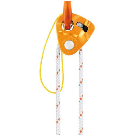 Poulie Petzl Nano Traxion