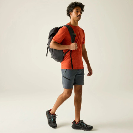 Shorts homme Regatta Xert Stretch Shorts