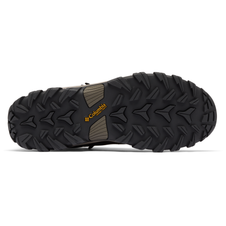 Chaussures homme Columbia Newton Ridge™ Plus II Waterproof