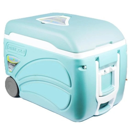 Boîte de refroidissement Pinnacle Proxon 45L