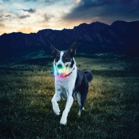Jouet pour chien Nite Ize Glowstreak LED Ball