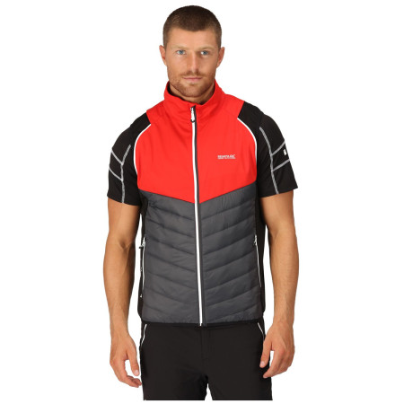 Veste homme Regatta Steren Hybrid