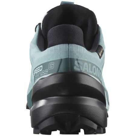 Chaussures femme Salomon Speedcross 6 Gore-Tex