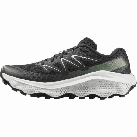 Chaussures homme Salomon Ultra Flow 2