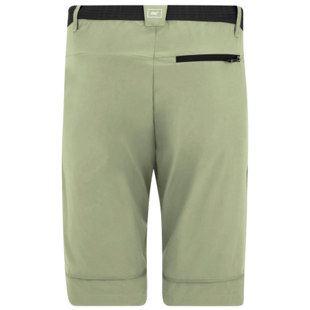Pantalon homme Regatta Mountain Z/O Trousers