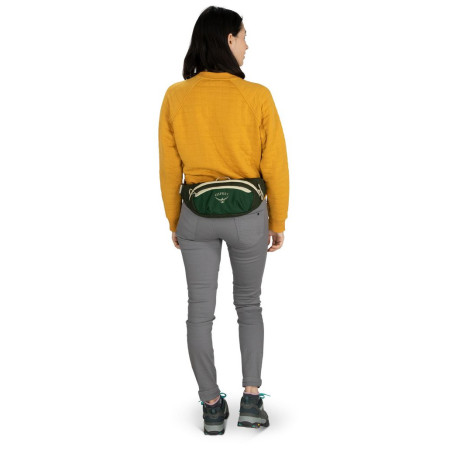 Sac banane Osprey Daylite Waist Black