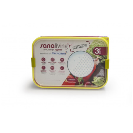 Boîte aliments Omada Sanaliving Box Set 3x 24x16,5x5cm/1L