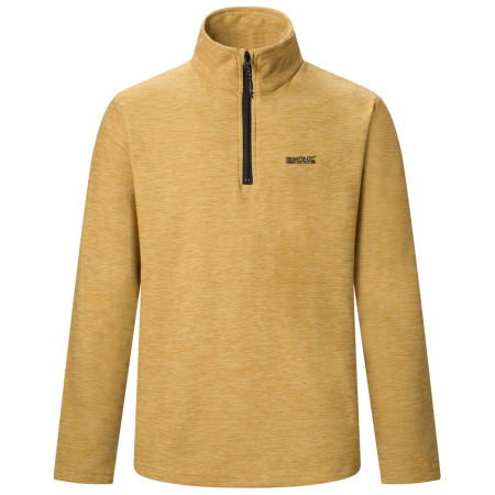 Sweatshirt fonctionnel homme Regatta Thompson Marl