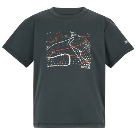 T-shirt enfant Regatta Alvarado Seal Grey gris Seal Grey