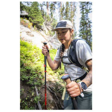 Bâtons randonnée Black Diamond Pursuit Carbon FLZ