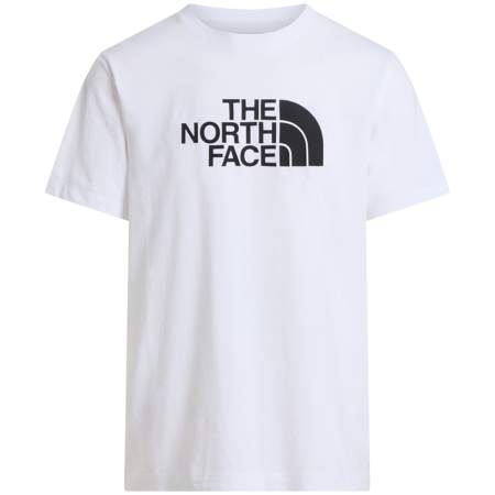 T-shirt homme The North Face Evolution Half Dome Regular Short Slee