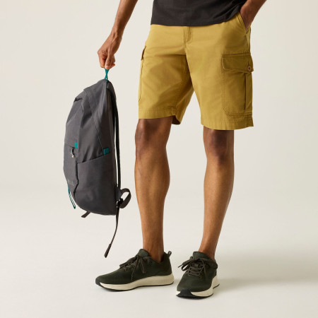 Shorts homme Regatta Ruwan Shorts