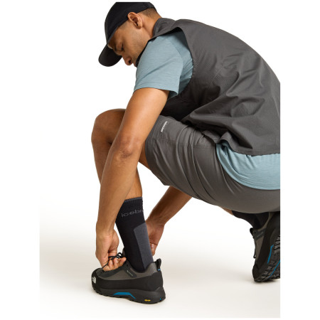 Chaussettes homme Icebreaker M Mer Hike+ Light Crew