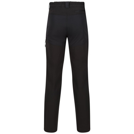 Pantalon homme Regatta Questra V
