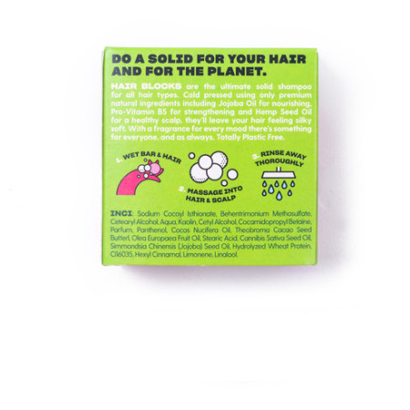 Shampoing Shower Blocks Solid Shampoo - Mint & Grapefruit