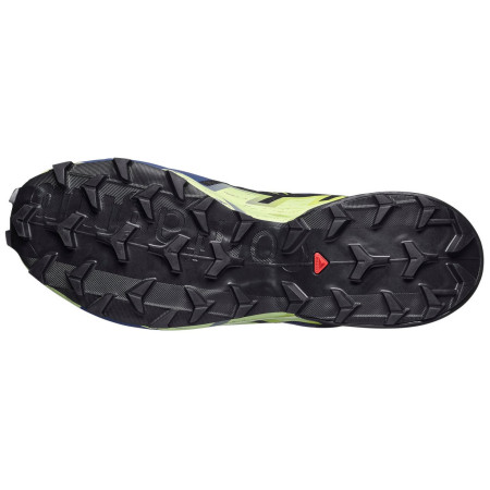 Chaussures de running hommes Salomon Speedcross 6