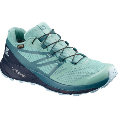 Chaussures femme Salomon Sense Ride 2 Gtx Invis Fit W bleu clair NileBlue/NavyBlazer/MallardBlue
