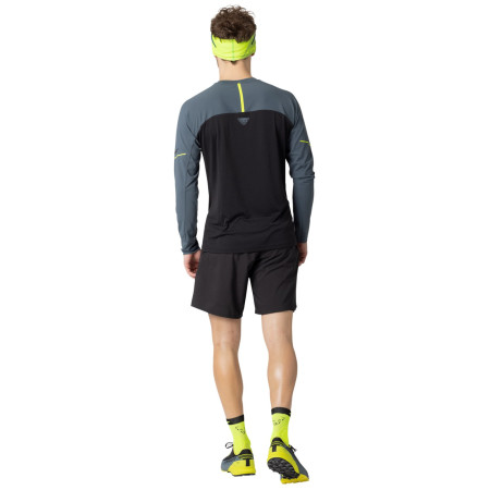 T-shirt fonctionnel homme Dynafit Alpine Pro M L/S Tee