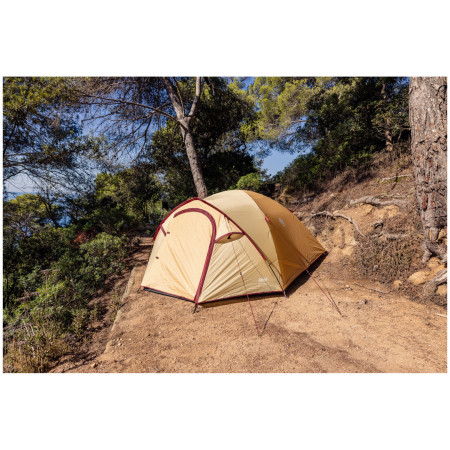 Tente de randonnée Coleman Darwin Summer 4 Plus