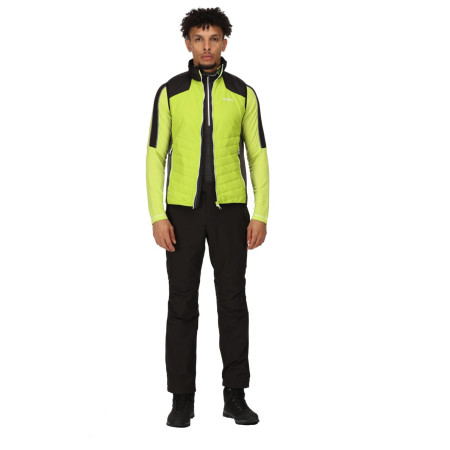 Gilet homme Regatta Halton BW VI