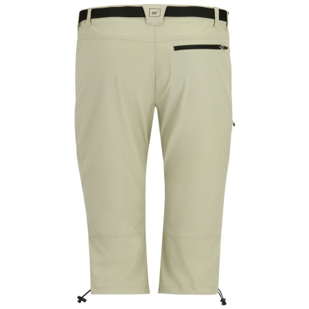 Pantalon 3/4 homme Regatta Xert Stretch Capri