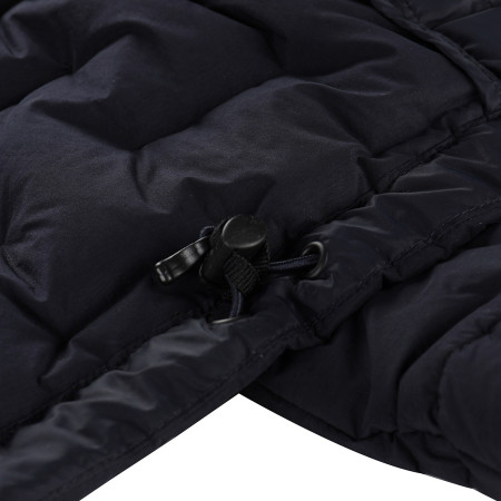 Veste homme Alpine Pro Rogit 3